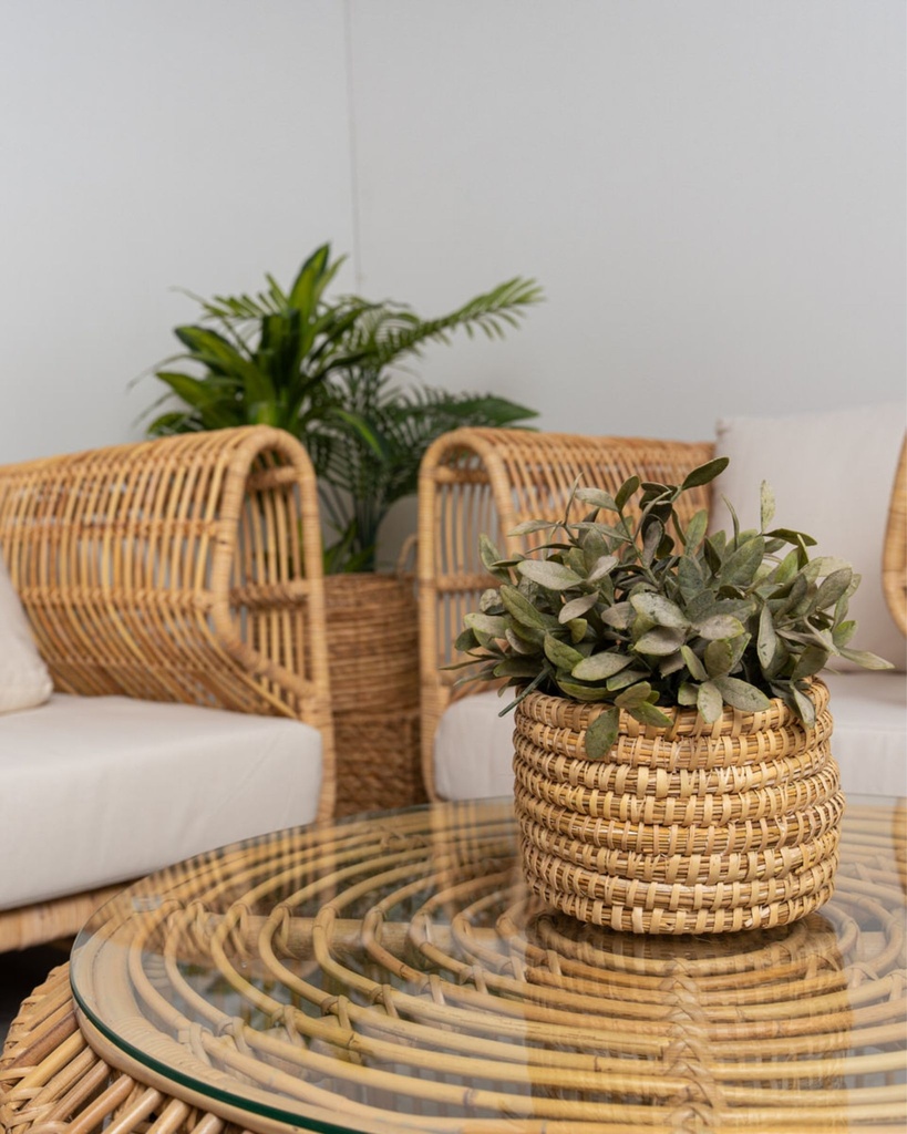 Conjunto de muebles de Rattan Sabah