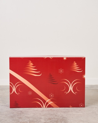 [2894] Caja cartón 435X330X100 glass roja